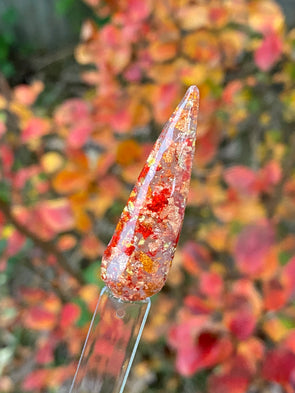 Central Park in November